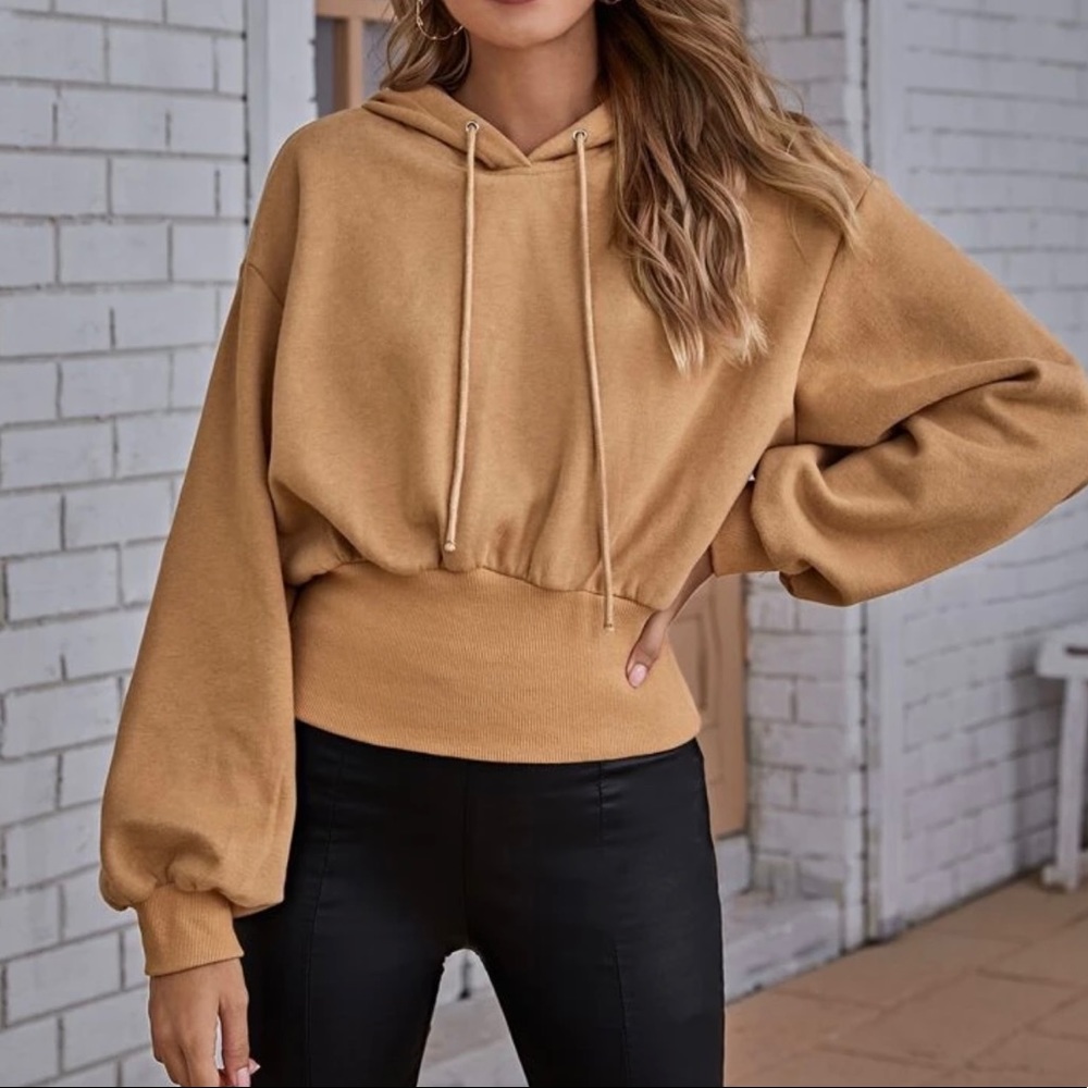 SHEIN Drawstring Detail Lantern Sleeve Hoodie